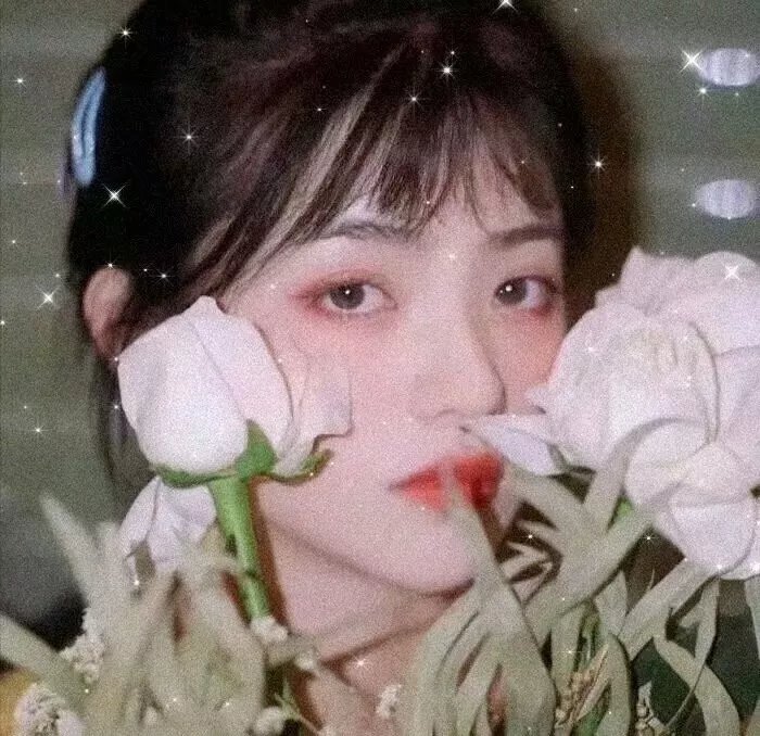 双生赤狐 海报
